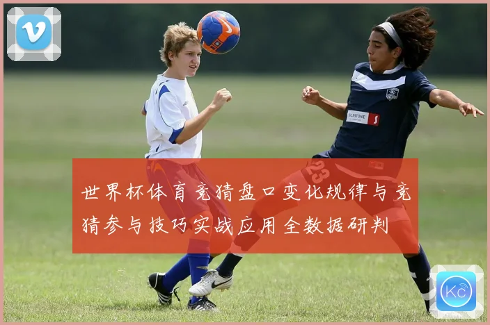 世界杯体育竞猜盘口变化规律与竞猜参与技巧实战应用全数据研判