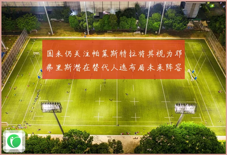 国米仍关注帕莱斯特拉将其视为邓弗里斯潜在替代人选布局未来阵容战术观察