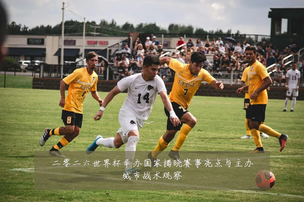 二零二六世界杯举办国家揭晓赛事亮点与主办城市战术观察