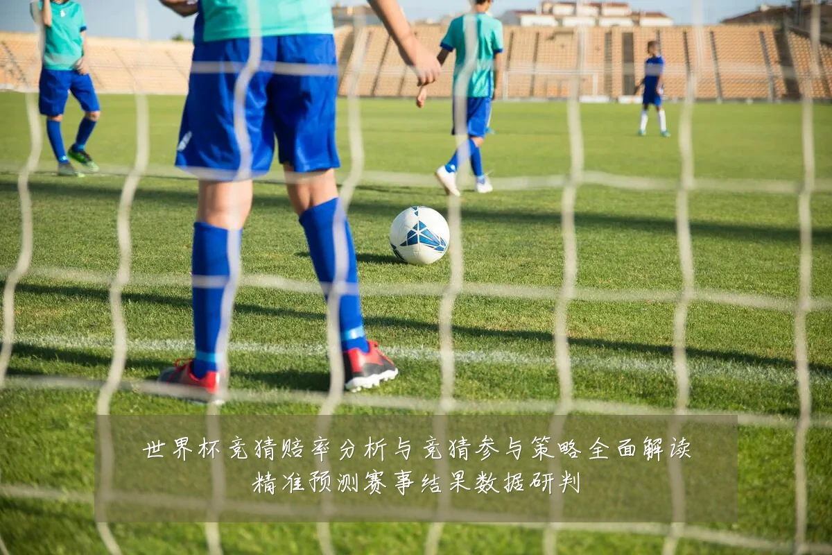 世界杯竞猜赔率分析与竞猜参与策略全面解读精准预测赛事结果数据研判