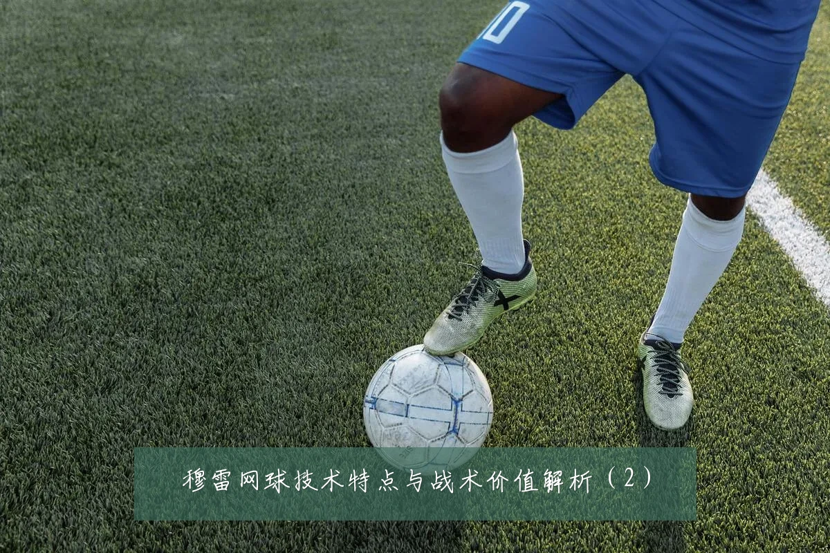 穆雷网球技术特点与战术价值解析(2)